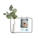 thumbnail image 1 of El agua del océano de luz de estrella de mar la naturaleza la foto Jarrones colgantes de vidrio transparente Decoración Botella, 1 of 4