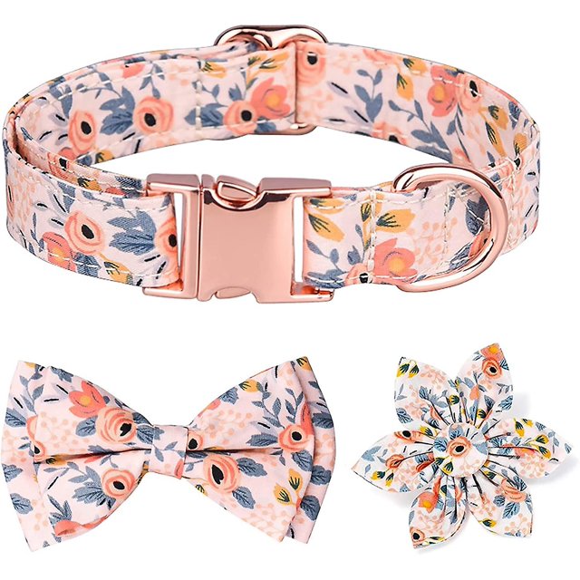 Collar Para Perro Con Pajarita Desmontable Y Diseño Floral Grabado, Collar Para Perro Con Hebilla De Oro Rosa, Perros Medianos Grandes En 3 Estilos Diferentes (m, Naranja). Afortunado Sencillez