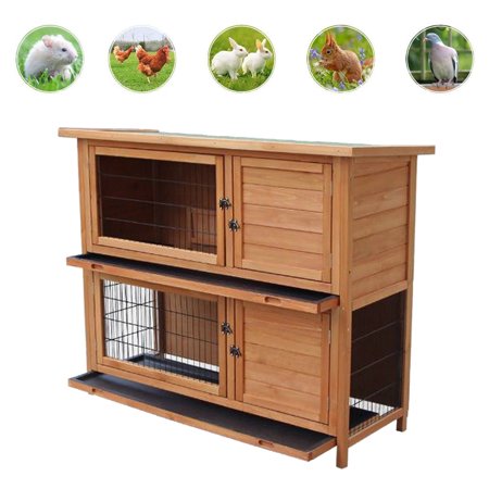 Guinea Pig Animals - Zimtown 48