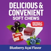 Force Factor Daily Relief Nerve Support Soft Chews with Alpha Lipoic Acid & B Vitamins, 30 Mixed Berry Flavor