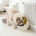 thumbnail image 4 of Water Bowl For Cats - Shaped Dispenser Promotes Hydration And Entertaining Drinking Experience For Indoor Outdoor, 4 of 8