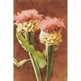 thumbnail image 2 of Sargent, John Singer 13x18 Black Modern Framed Museum Art Print Titled - Thistle, 2 of 4