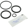 thumbnail image 3 of Pentair 273109 Noncorosive Slide O-Ring Replacement Kit, 3 of 3