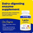 Enzymedica Lacto Digestive Enzymes for Dairy, Gas & Bloating Relief, 90 ...