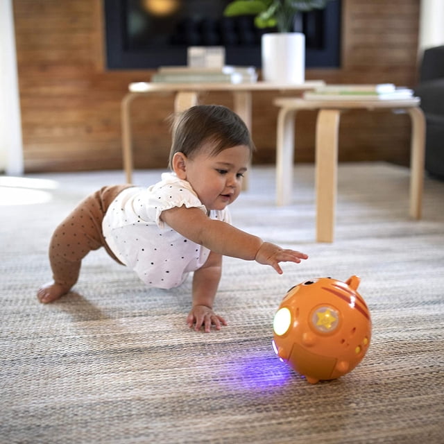 Baby Einstein Tinker Crawl a lo largo de las canciones Tomy Tomy-Time Musical Toy con luces, de 6 meses Baby Einstein Baby Einstein