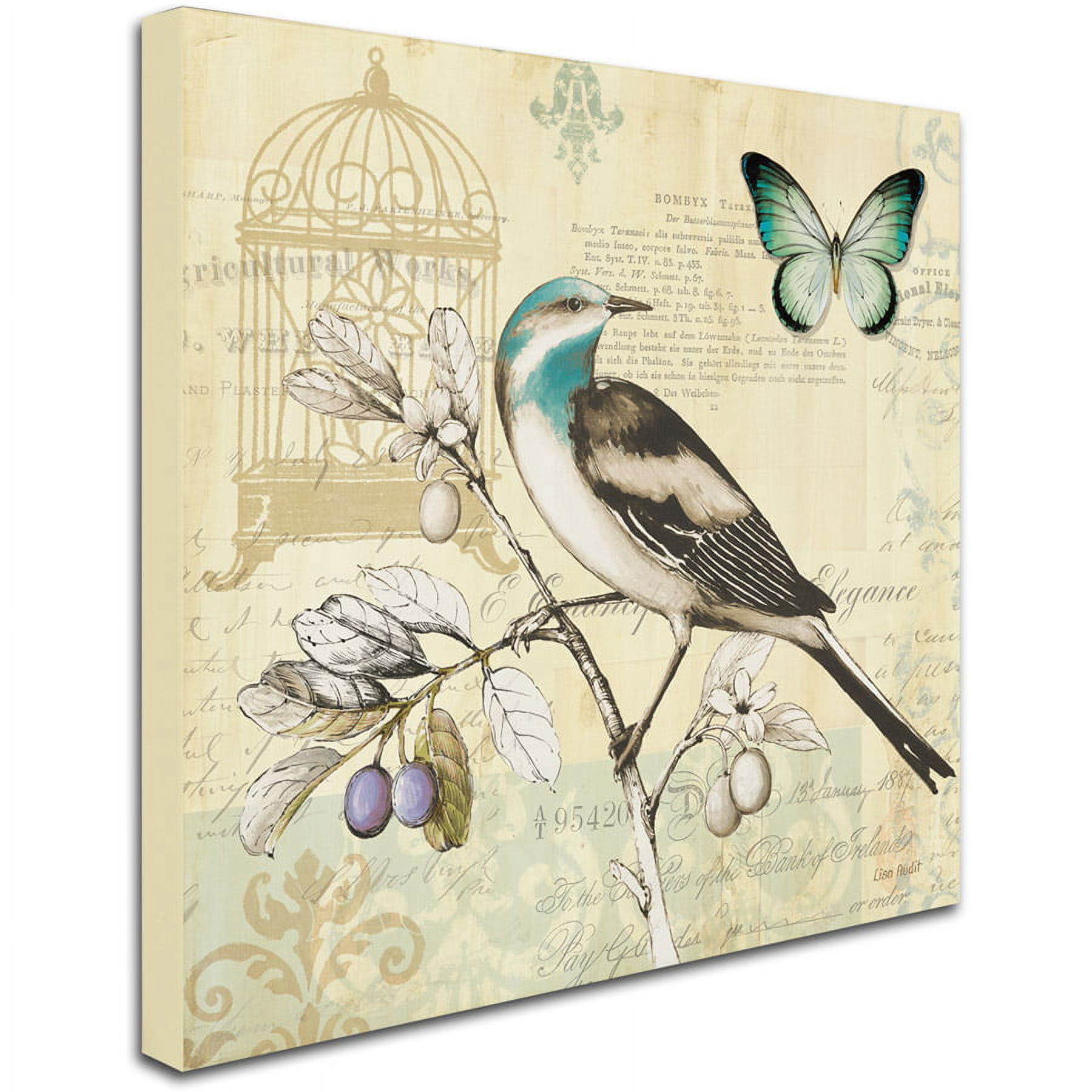Trademark Fine Art "Freedom II" Canvas Art by Lisa Audit