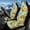 Sunflower Butterfly, variant on Uorisanigo Universal Front Car Seat Covers Washable Sunflower Butterfly High Back Front Car Seat Protectors - Fit for Most Cars, Trucks, SUVS, Vans 2 PCS Non Slip Auto Cover Sets