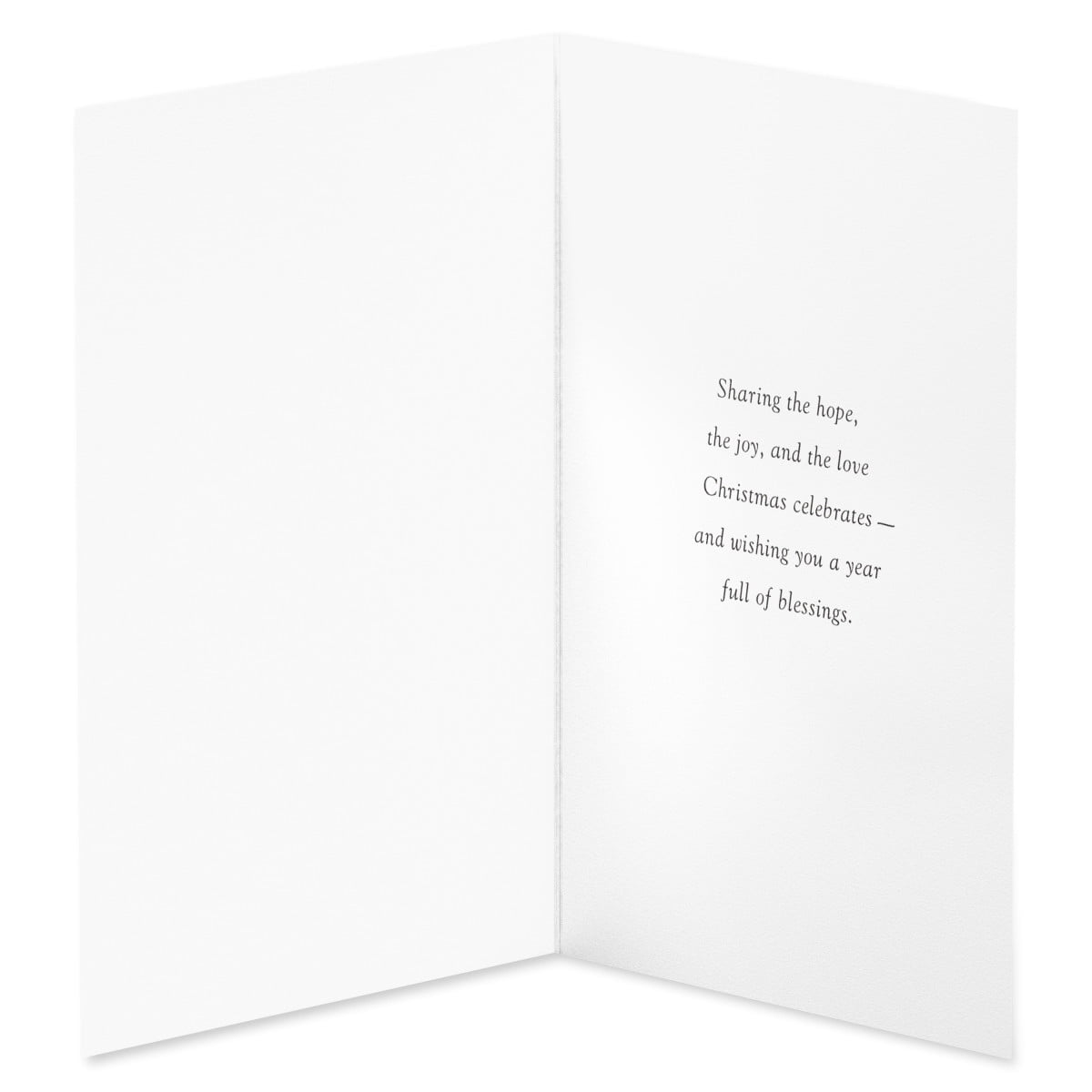 American Greetings Religious Christmas Card Bundle, Floral and Dove Design (10-Count)