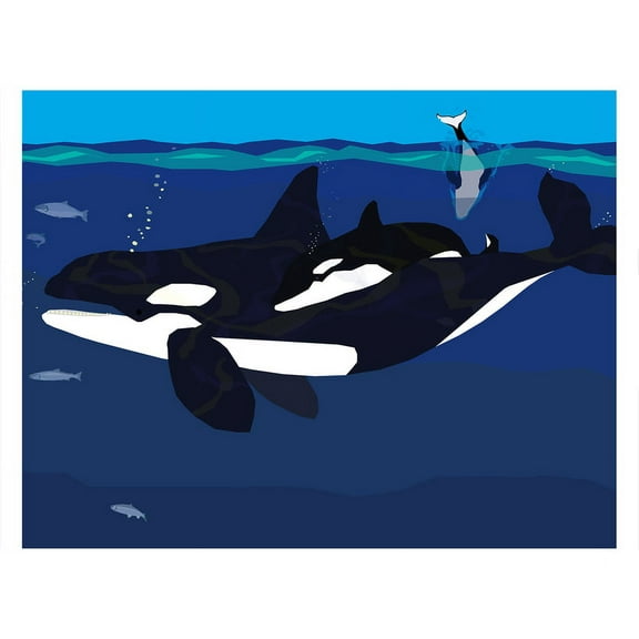 Puget Sound Orca Mother and Baby Art Print 11x14 (Other)
