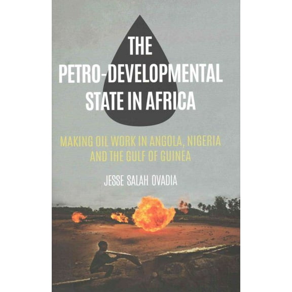 The Petro-Developmental State in Africa (Hardcover)