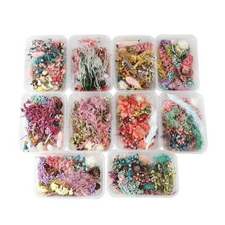 Baywell 15Pcs Dried Flowers for Resin Molds, Natural Dried Pressed Flower  Herbs kit for Scrapbooking Supplies Card Making Supplies Resin Jewelry Soap