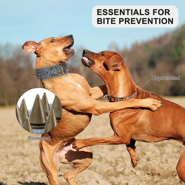 Pet Artist Inch Heavy Duty Spiked Studded Dog Collar Wide