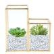 thumbnail image 1 of Contenedor De Almacenamiento De Vidrio Para Jardín, Columna Poligonal, Barra De Latón Dorado, Caja Para Habitación De Flores De Soldadura, 1 of 7