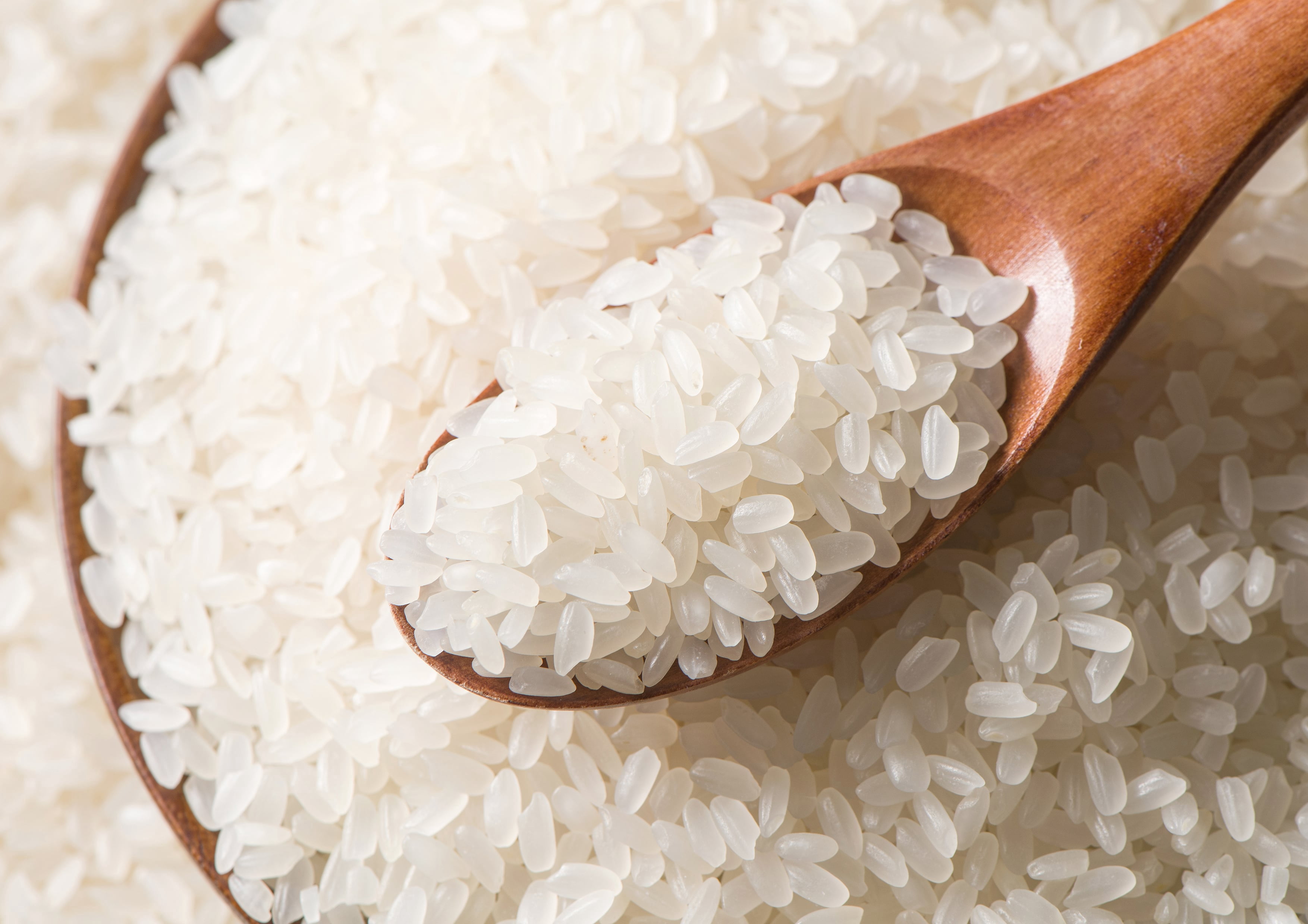 Short Grain White Rice, 6 Pounds — Kosher, Raw, Vegan — by Food to Live