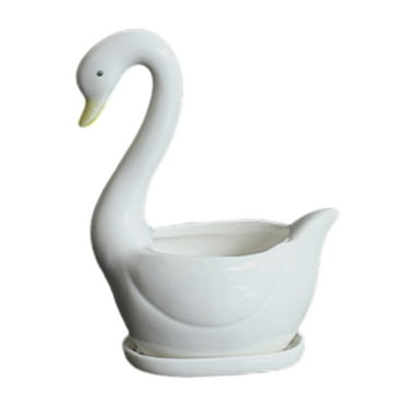 oshhnii Ceramic Flower Pot Cute Plant Container for Office Desktop Bonsai Decoration