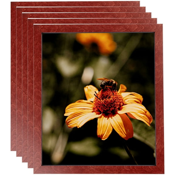 ArtToFrames 12" x 14" Maple Wood Picture Frame, 12x14 inch Red Wood Poster Frame (WOM-4962), 5 Pack