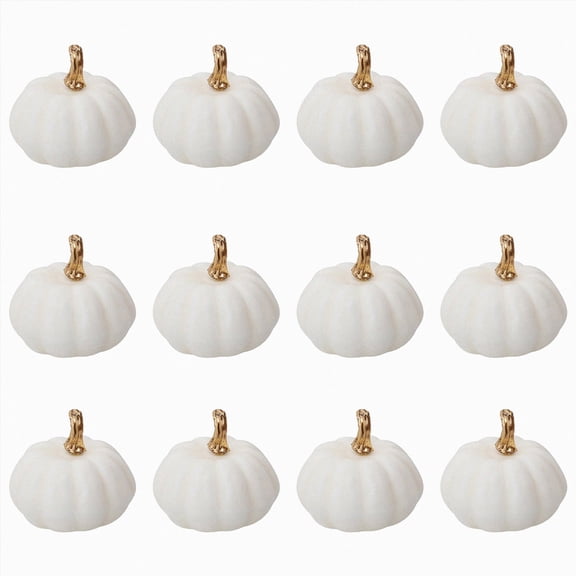 GHIIYER 12 Pack Pumpkins Halloween Decorations, Mini Pumpkins Vegetables for Thanksgiving Party Decor White One Size