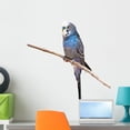 thumbnail image 1 of Little Budgie Parrot Wall Decal by Wallmonkeys Peel and Stick Graphic (24 in H x 16 in W) WM270246, 1 of 4