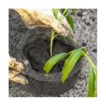 thumbnail image 4 of Protector de raíces de plantas de malla densa de 6 piezas Cesta de alambre de acero inoxidable reutilizable de 5 galones para jardín, duradera, 4 of 5