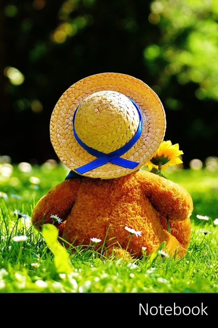 osos de peluche precios walmart