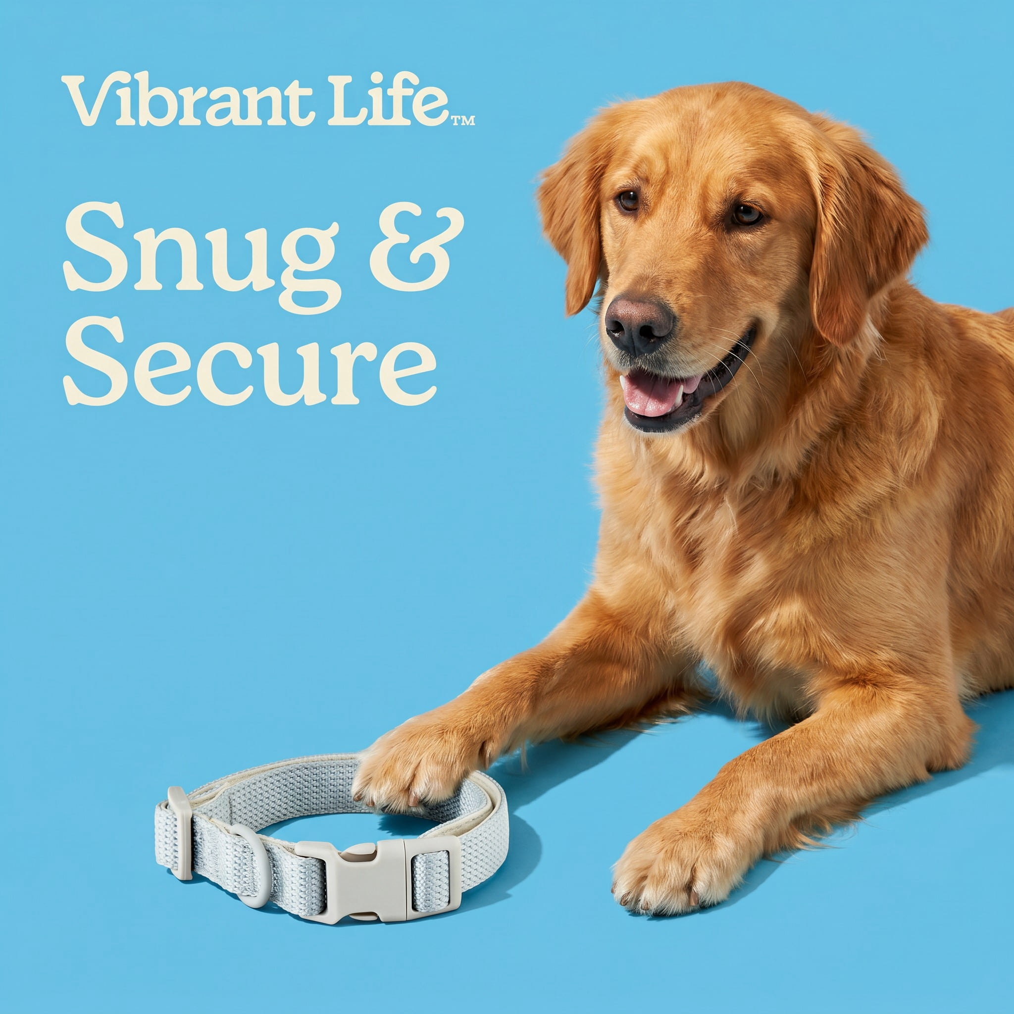 Vibrant Life Neoprene Cushioned Adjustable Dog Collar, Gray, S