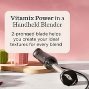 Vitamix 2-Speed Immersion Blender + Whisk Attachment, Black