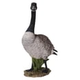 thumbnail image 2 of Hi-Line Gift Standing Canada Goose Statue, Grey/Natural, 2 of 7