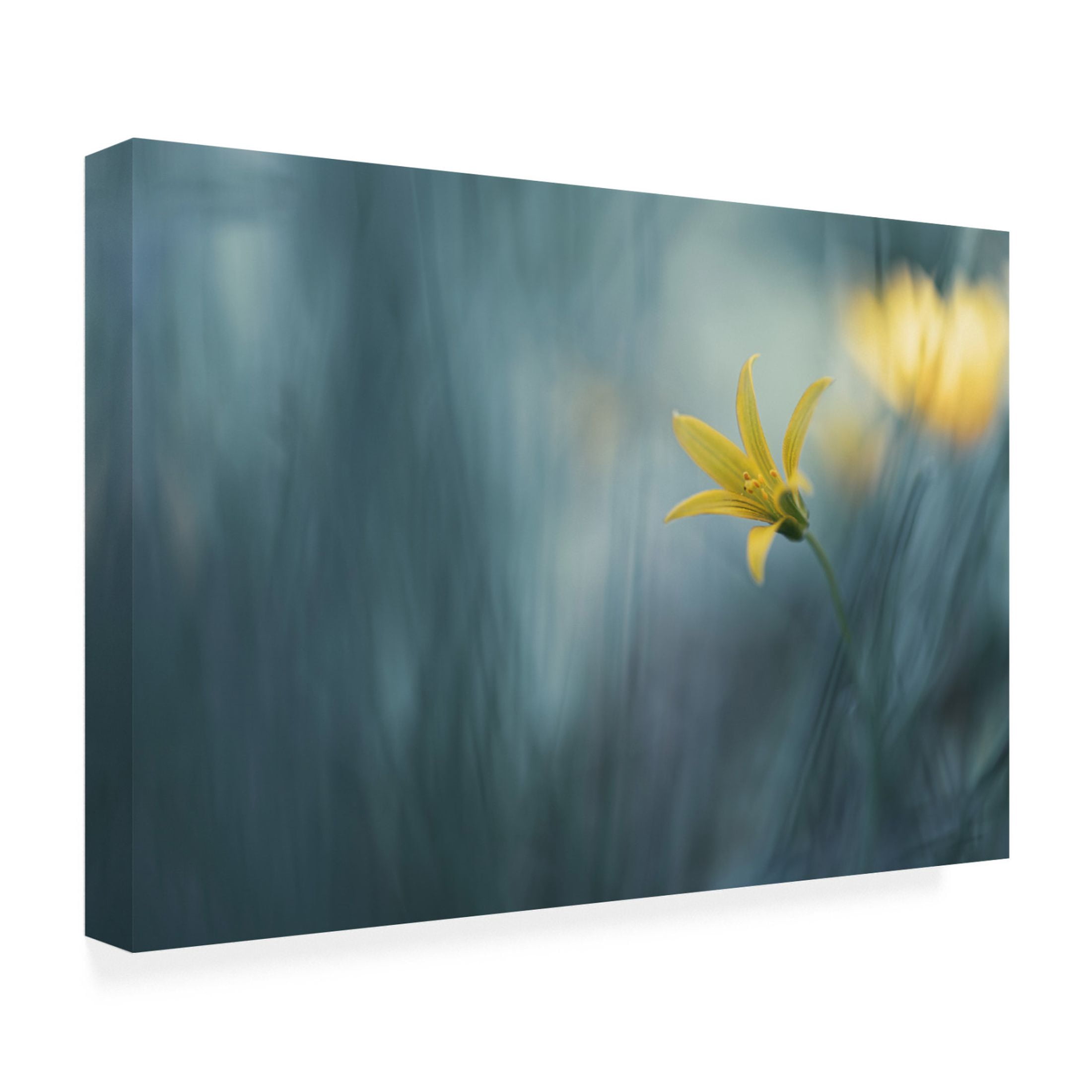 Canvas Wall Art - Igor Kopcev 'Spring Vaudeville' Wall Art for Living Room, Bedroom, or Office Décor by Trademark Fine Art - 24 x 16 Inches