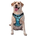 thumbnail image 1 of Wukai Harnais pour Animaux Imprimé Scène de Dauphin sous-Marin, Gilet Laisse pour Animaux - Boucle Réglable, Design Réfléchissant, Accessoires pour Animaux Adaptés aux Petits, Moyens et Grands Chiens - Très Grand, 1 of 6