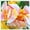 C, variant on Canna, Low Maintenance - Easy Grow - Ideal for Beds Borders, Plant Pots & Planters