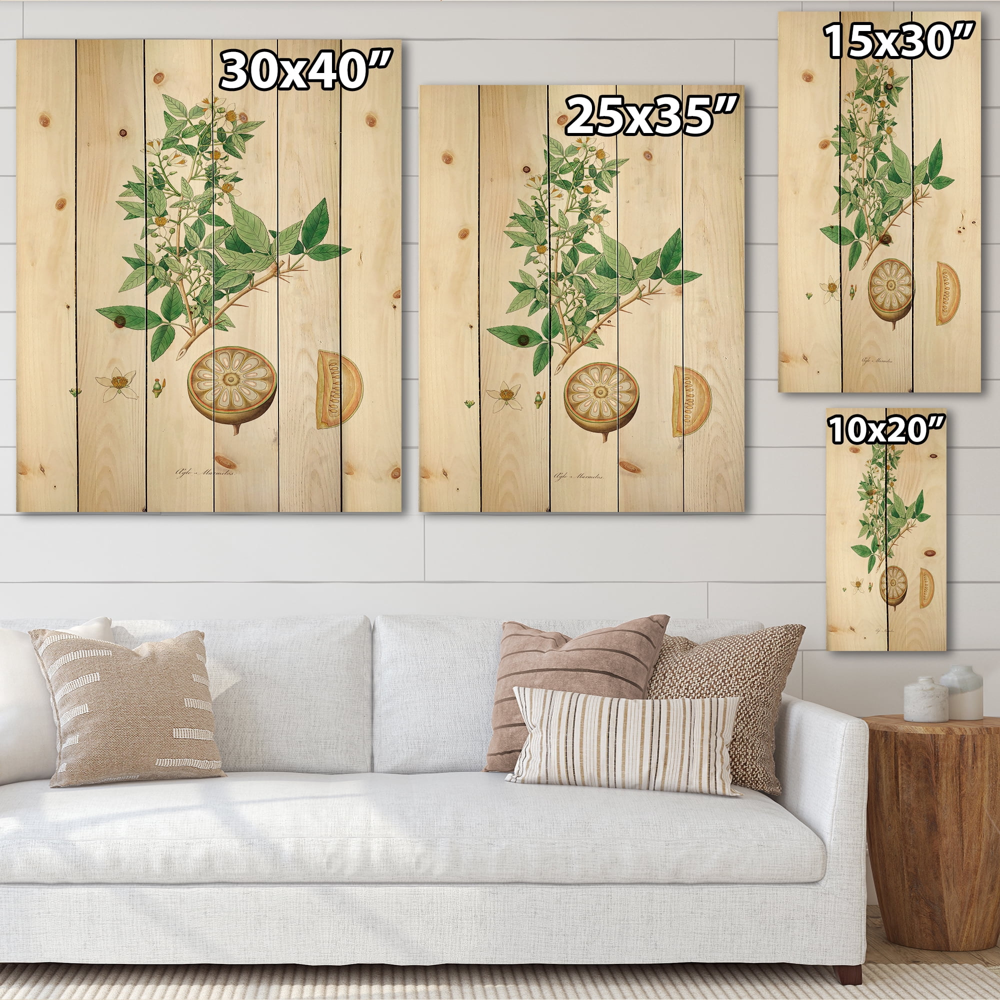 Designart 'Ancient Plant Life X' Farmhouse Print on Natural Pine Wood