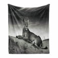 thumbnail image 1 of Black and White Soft Flannel Fleece Throw Blanket, Wild Lioness on Desert Sand Dunes Animal Safari Image Print, Cozy Plush for Indoor and Outdoor Use, 50" x 60", Black White Grey, by Ambesonne, 1 of 6