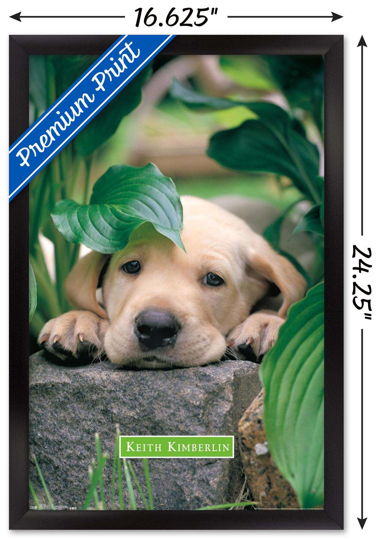 Keith Kimberlin - Puppy - Lazy Days Wall Poster, 14.725" x 22.375", Framed
