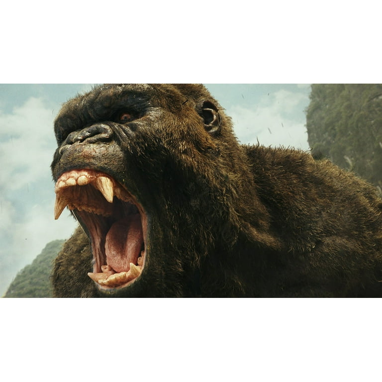 Warner Home Video: Kong: Skull Island - Action & Adventure