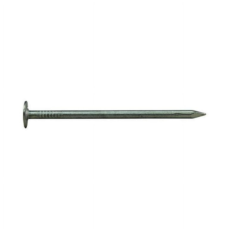 Ace 3 in. Roofing Electro-Galvanized Steel Nail Large Head 5 lb Ace 3 in. Roofing Electro-Galvanized Steel Nail Large Head 5 lb
