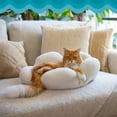 thumbnail image 6 of Catstages Purrfect Petals Flower Cat Bed with Plush Support and Raised Sides, White, 21 in - Secure, Soft, Comfortable Bed for Cats and Kittens, 6 of 8