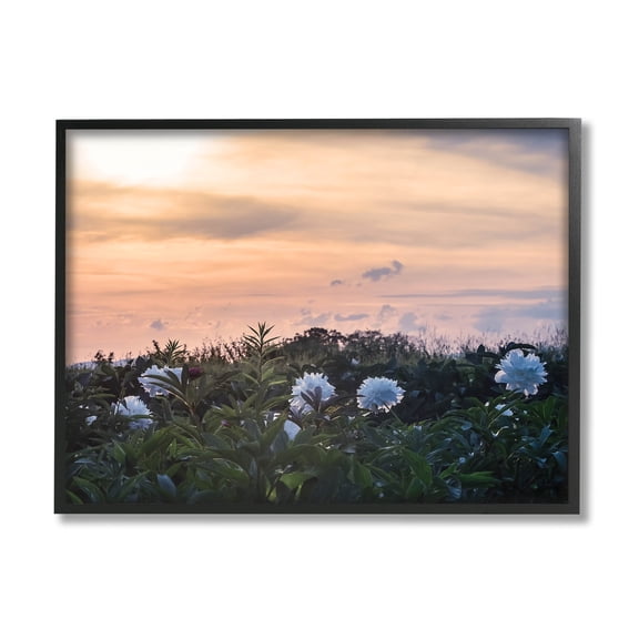 Wildflower Blossoms Sunset Sky Landscape Photograph Black Framed Art Print Wall Art