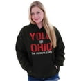 thumbnail image 3 of OH Pride YOLO in Ohio Souvenir Unisex Plus Fleece Graphic Hoodie Brisco Brands 2X, 3 of 5