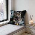 thumbnail image 4 of ddioayh Throw Pillow Cover Animal Print Soft Machine Washable 45x45cm for Sofa Chair Bedroom Home Decor Spring Easter Pet Theme Decorative Gift Idea, 4 of 6