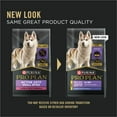 thumbnail image 3 of Purina Pro Plan High Protein Dry Dog Food, Small Bites Lamb and Rice Formula, 37.5 lb Bag, 3 of 13