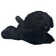 thumbnail image 1 of Peluche Aurora Blackie 20.32cm Mini Flopsie, 1 of 4