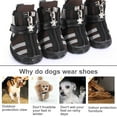 thumbnail image 4 of Methold Zapatos para mascotas TureClos, botas deportivas de interior, malla transpirable, algodón clásico, cremallera, calzado para mascotas Ropa para mascotas marrón uno Methold PT000055-16B, 4 of 6