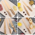 thumbnail image 7 of Kitchen Knife Set, 6-Pieces Rose Gold Titanium Coated Knife Block Set with Wood Magnetic Knife Block, Non-stick & Non-slip Stainless Steel Sharp Chef Knife Set, Knives Set for Home Kitchen, 7 of 7