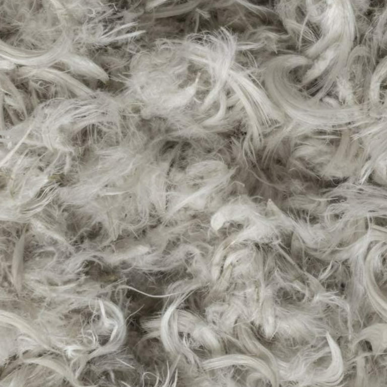 East Coast Bedding 10/90 Blend Gray Goose Down Feather Pillow Filler  Stuffing, 10-lb Bulk 