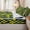 Chartreuse Dark Blue, variant on Erosebridal Fresh Teal Gradient Checkerboard Zipper Twin Comforter Sets with Fitted Sheet and 2 Pillowcases,Simple Mini Graphic Zipper Bedding Set,Turquoise Mint,4-Piece,Reversible