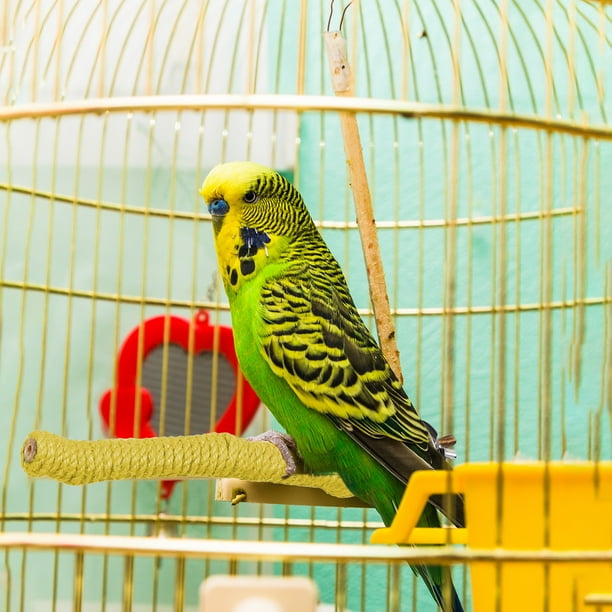 Jaula para Pájaros con Varilla de Afilar Garras