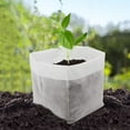 thumbnail image 6 of Manunclaims Plant Nursery Bags, 100 Pcs Non-Woven Fabric Seedling Bags Plants Pouch, Plant Grow Bags for High Seedling Survival Planting Growing Flowers Fruit Tree Seed Starting, 6 of 8