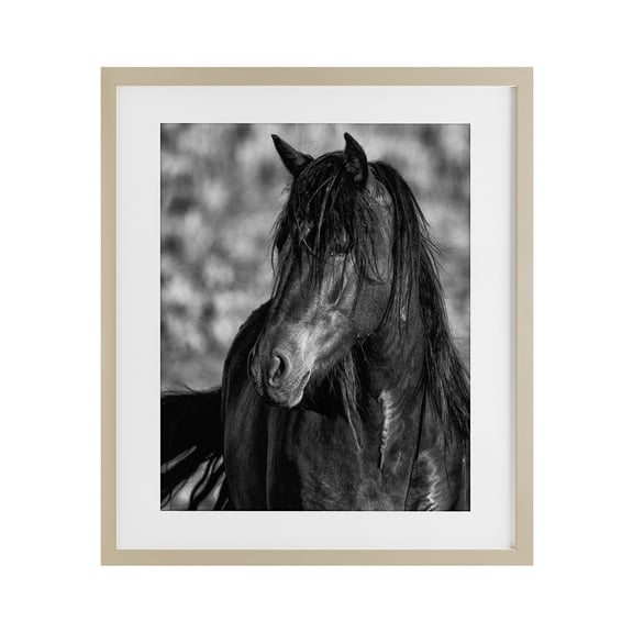 Stupell Industries Farmhouse Beauty In Black Birch Framed Print Under Glass, 13 x 16, by Tim West