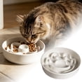 thumbnail image 4 of LLDYYDS Pet Feeding Bowls, Ceramic Slow Feeder Dog Bowl - Heavy Weighted Food Dish for Small to Medium Dogs One Size, 4 of 5