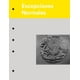 thumbnail image 1 of Cuadernillo Cadabra and Books 23 Excepciones Normales, 1 of 2